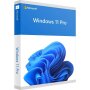 Microsoft Windows 11 Professional 64 Bit