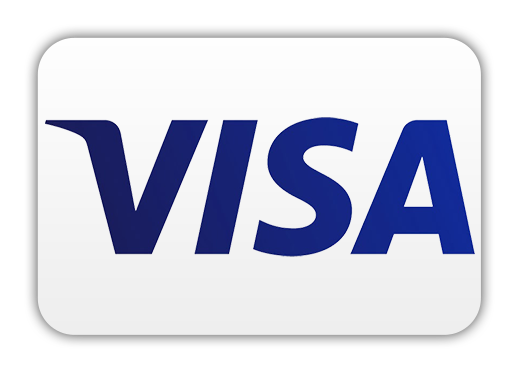 visa - etronicstore