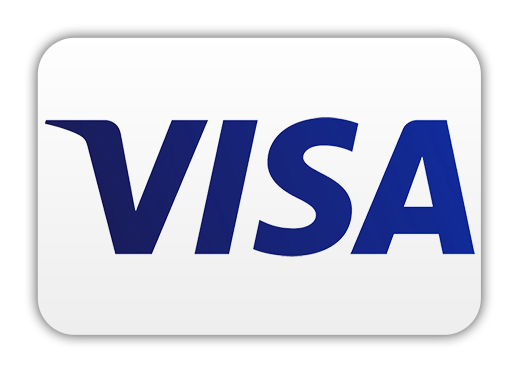 visa - etronicstore